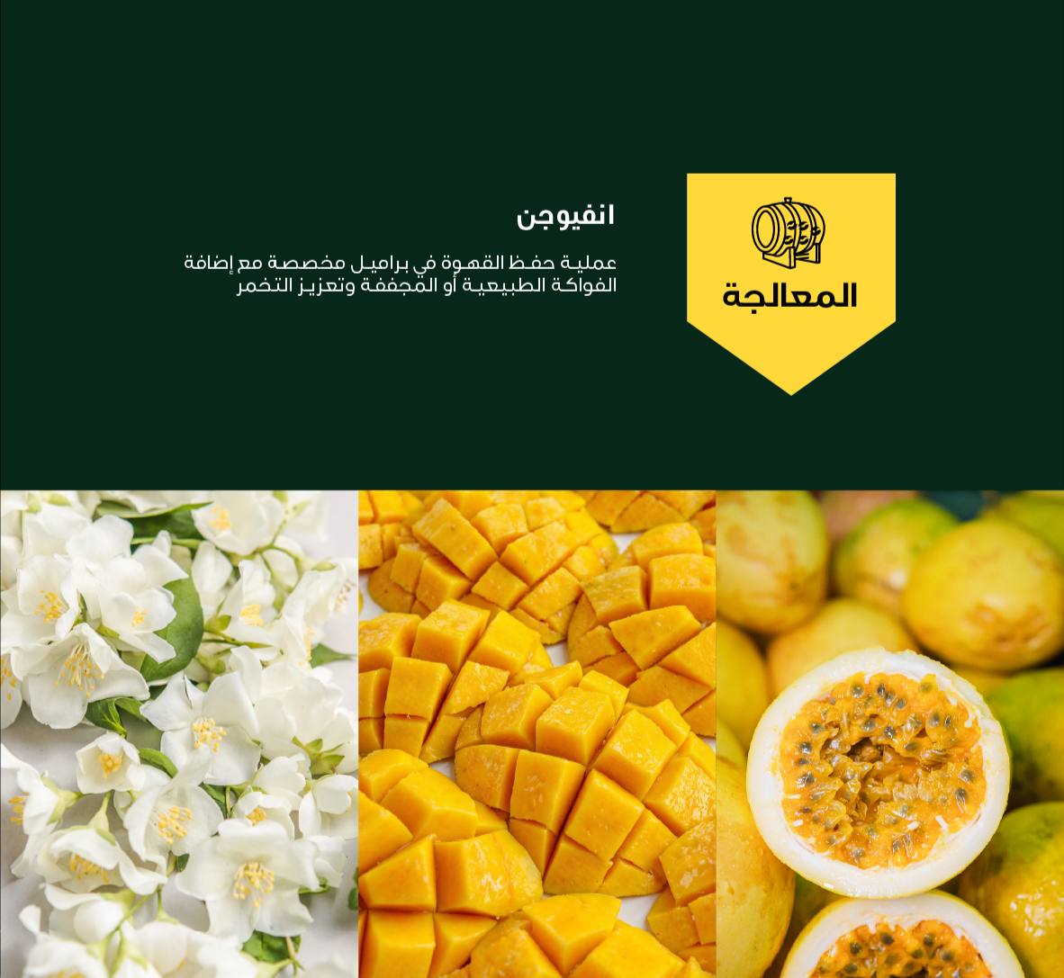 محمصة بلاك نايت أظرف قهوة - باشن فروت