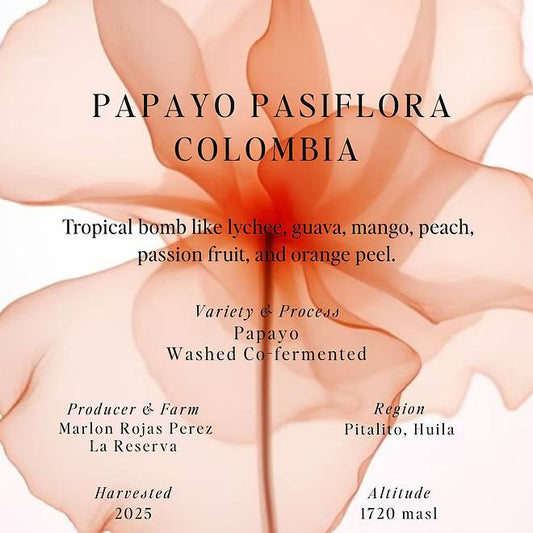 Papayo Pasiflora – Colombia (Omni)