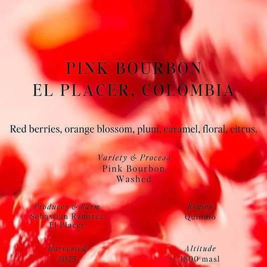 Pink Bourbon El Placer – Colombia (Filter)