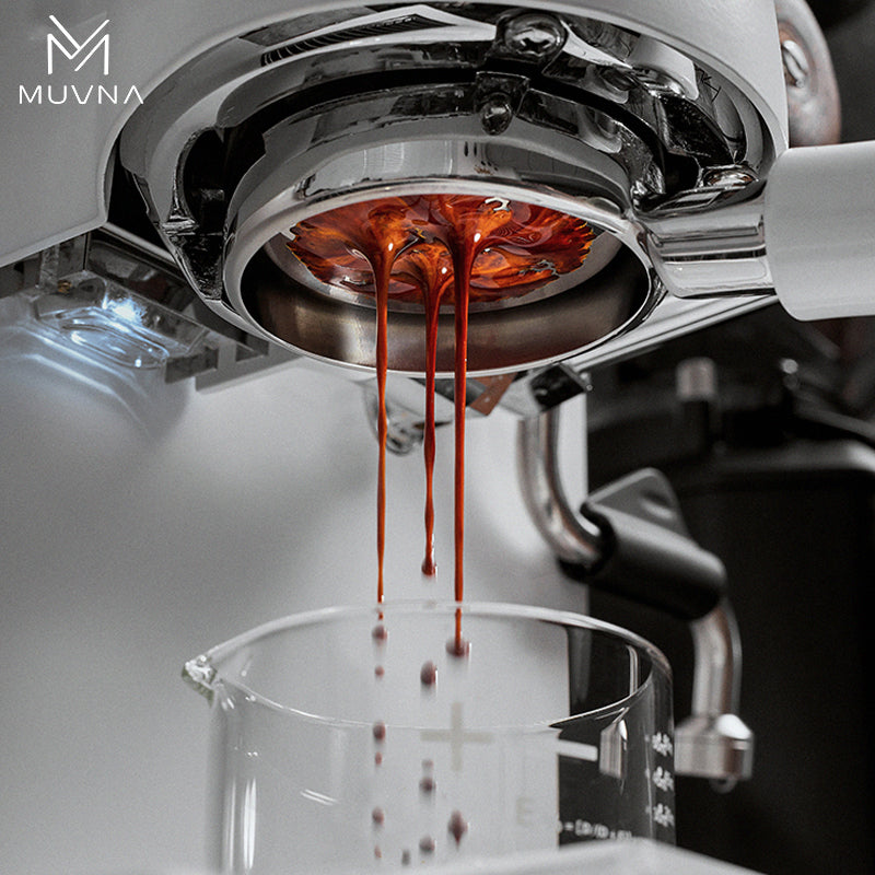 باسكت MUVNA Wing shadow - قياس 51 - 14g