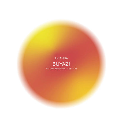 محمصة انلايت بويازي اوغندا مجففة لاهوائي