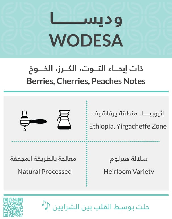 محمصة كفة وديسا 250غ