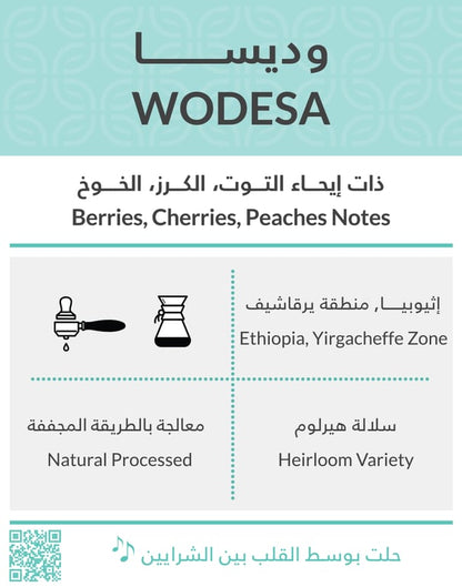 محمصة كفة وديسا 250غ