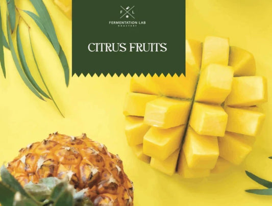 محمصة فرمنتيشن لاب CITRUS FRUITS كولومبيا لاهوائية 100 جرام