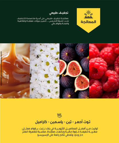 محمصة بلاك نايت - لوليت - إثيوبيا