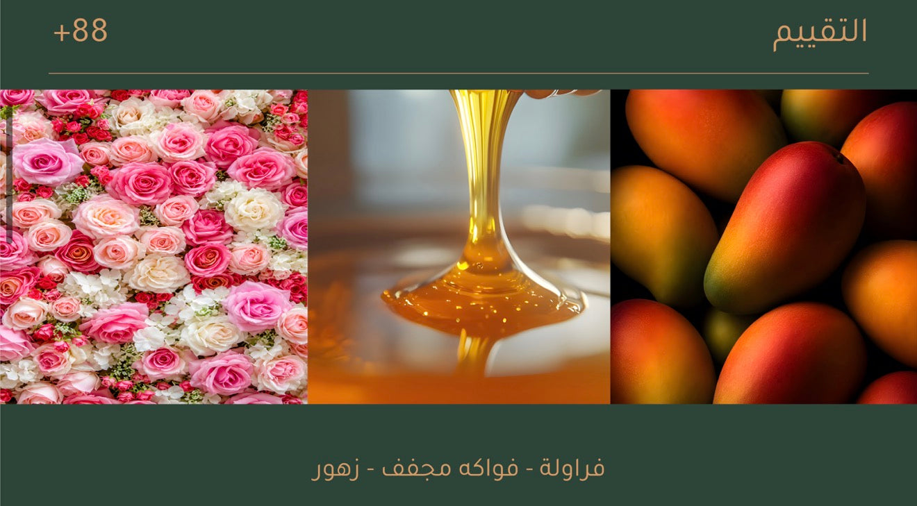 محمصة اويسيس - شيلشيلي- اثيوبيا