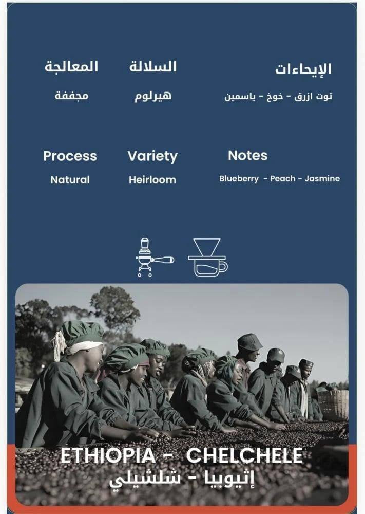 محمصة ثيرتي وت -شلشيلي اثيوبيا مجففة 250 جرام