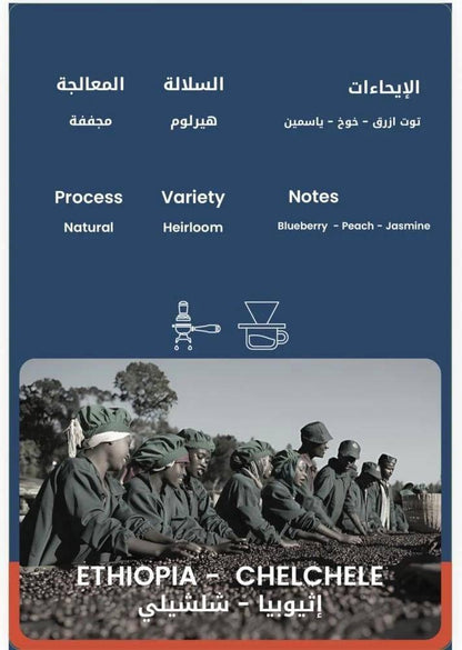 محمصة ثيرتي وت -شلشيلي اثيوبيا مجففة 250 جرام
