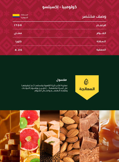 أظرف قهوة اكسيلسو محمصة بلاك نايت