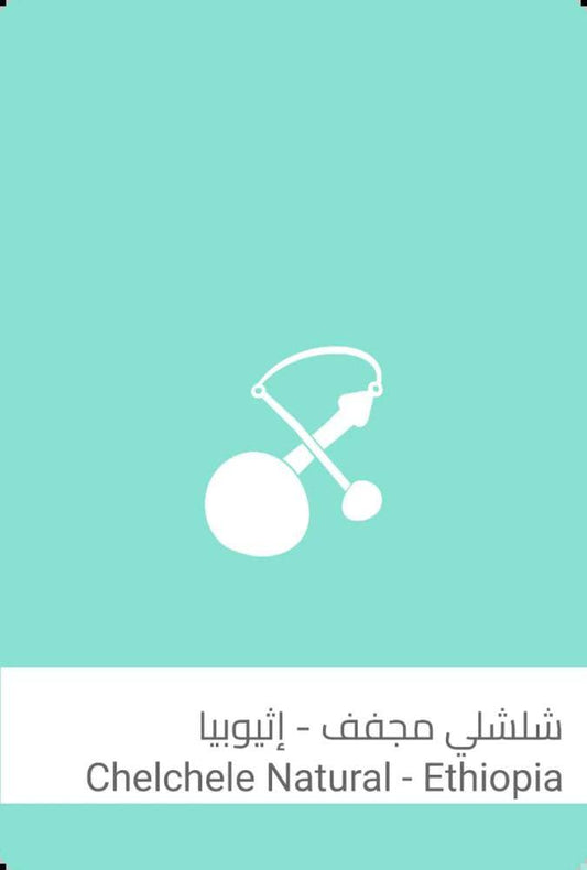 محمصة سلالات شلشلي اثيوبيا مجففة